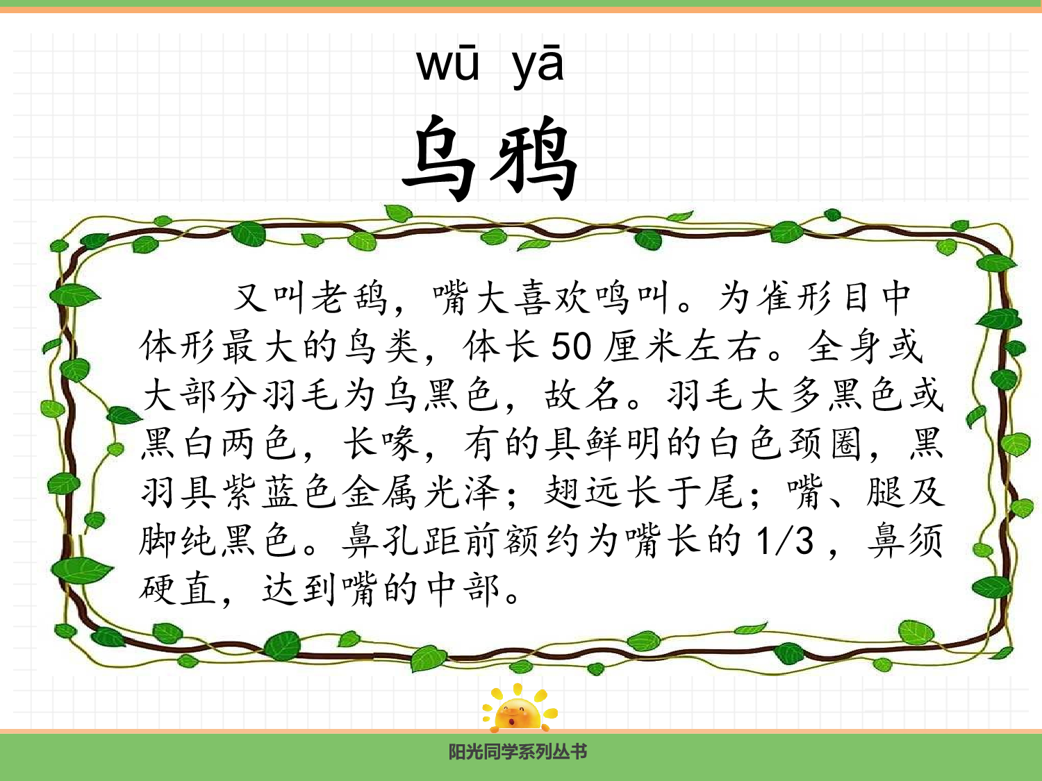 9.乌鸦喝水（第一课时）.pptx 第3页