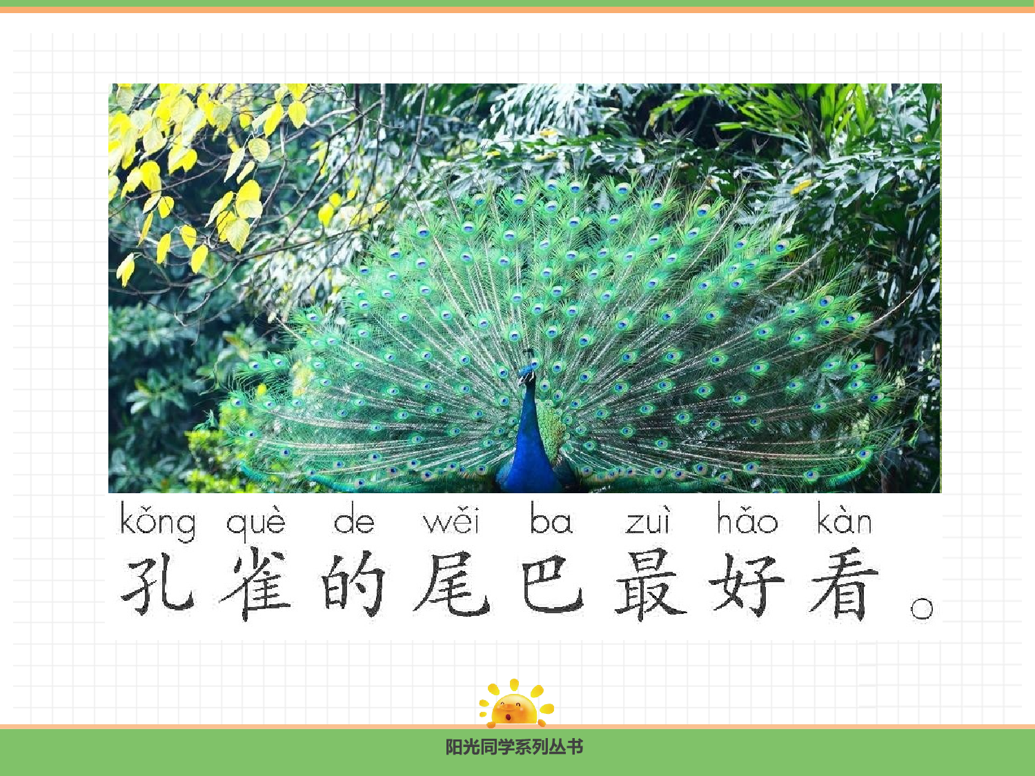 8.比尾巴（第二课时）.pptx 第10页