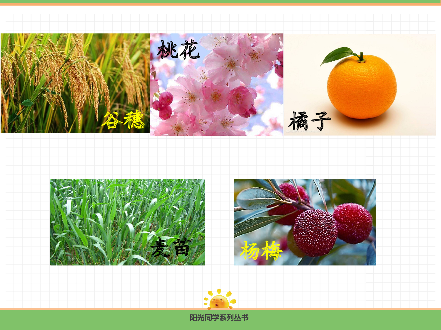 4.四季（第一课时）.pptx 第9页