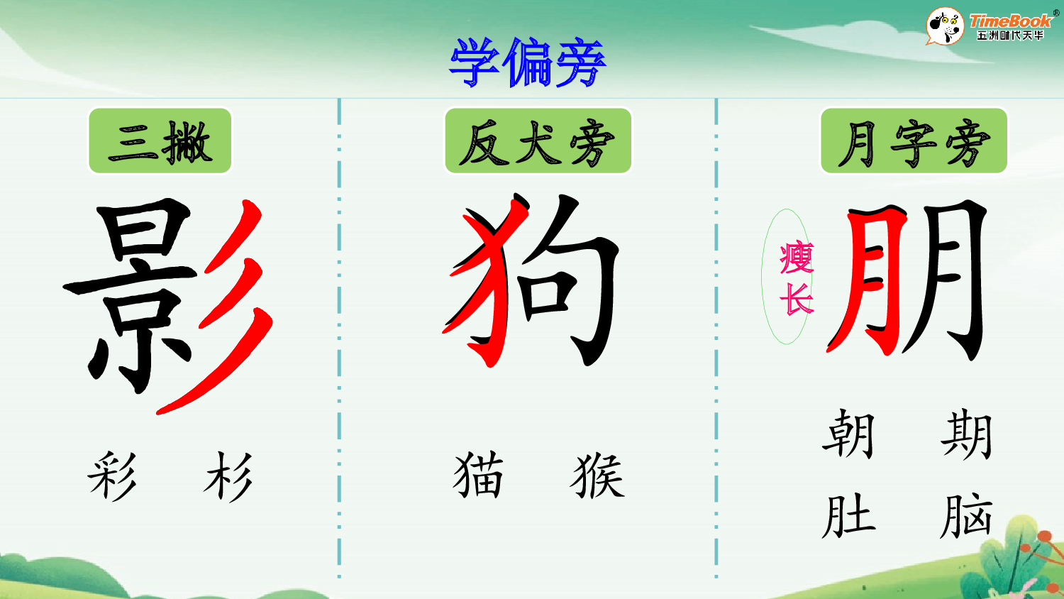 6 影子【精华版&middot;教案版】.pptx 第8页