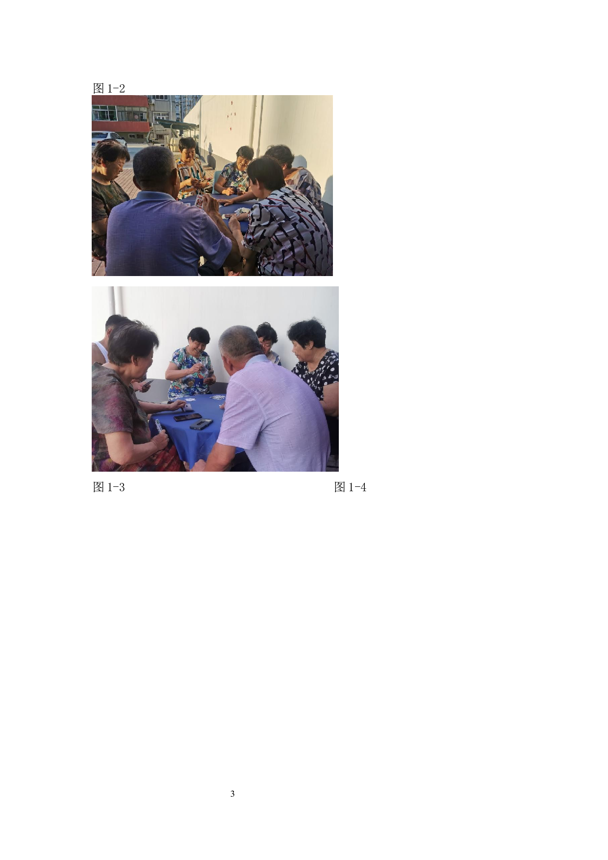 毕业创作《余晖》论述报告-5637字.docx 第6页