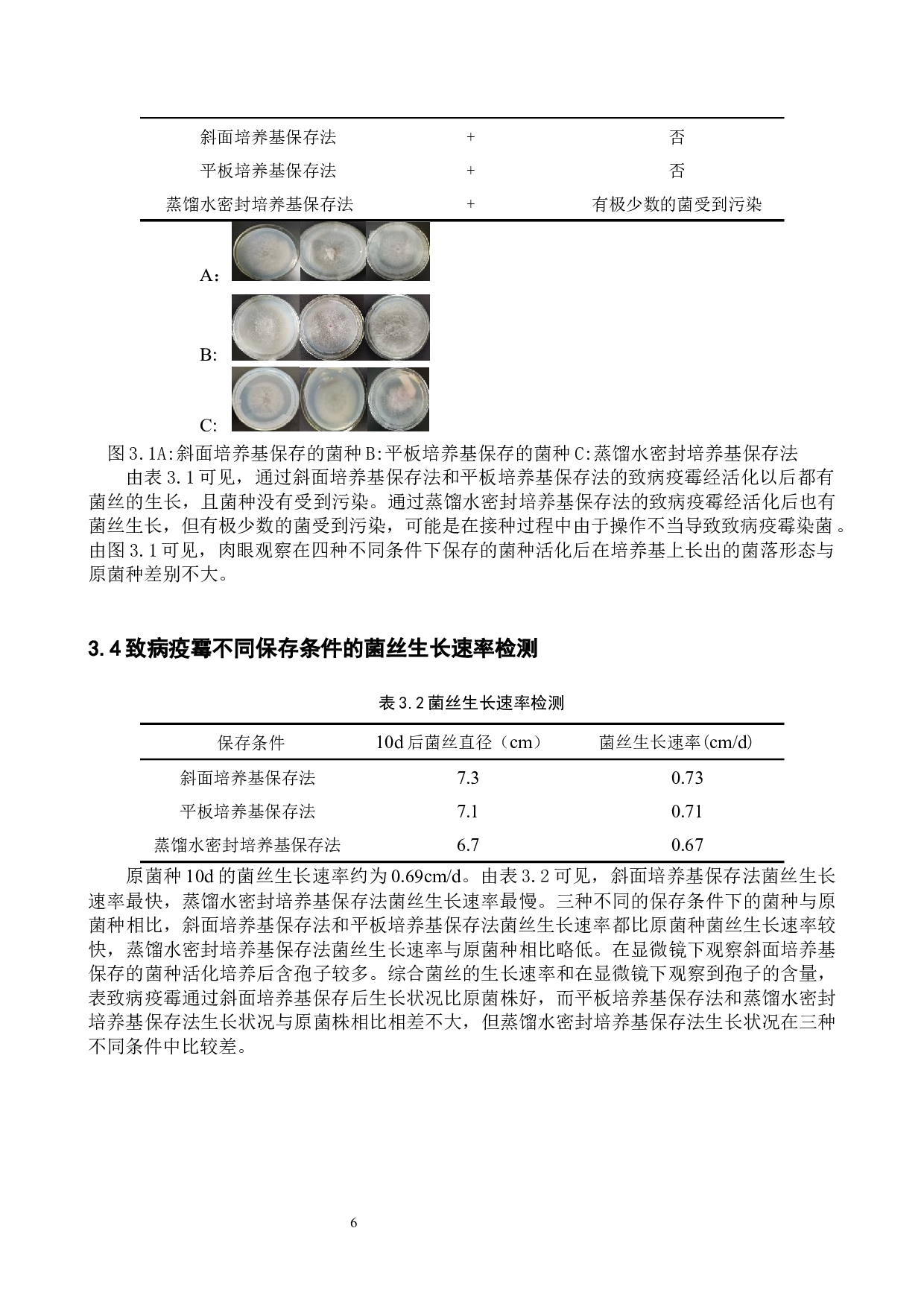 致病疫霉的分离纯化及鉴定-8294字.docx 第9页
