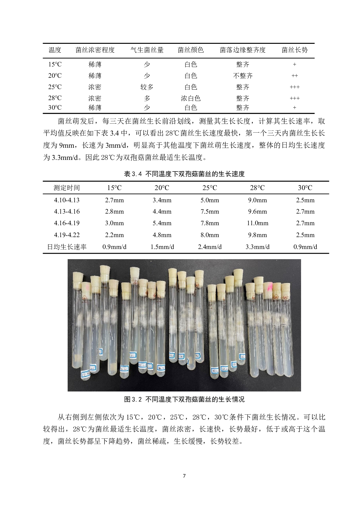 双孢菇菌丝生长条件优化-7685字.docx 第10页