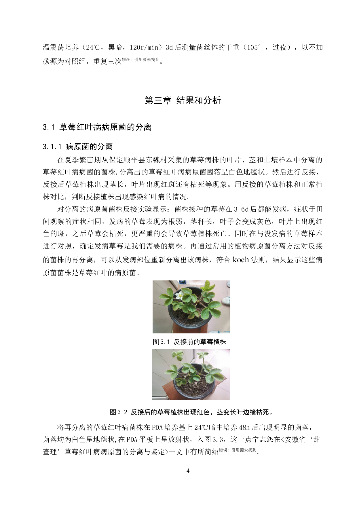 草莓红叶病病原菌的分离和培养条件的优化-8595字.docx 第8页