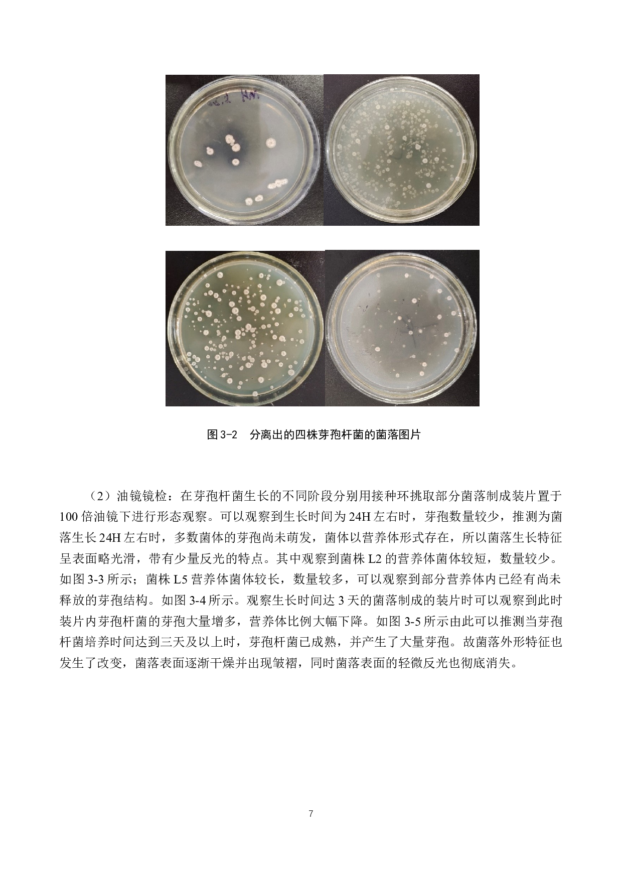 产淀粉酶芽孢杆菌的分离筛选-8533字.docx 第10页