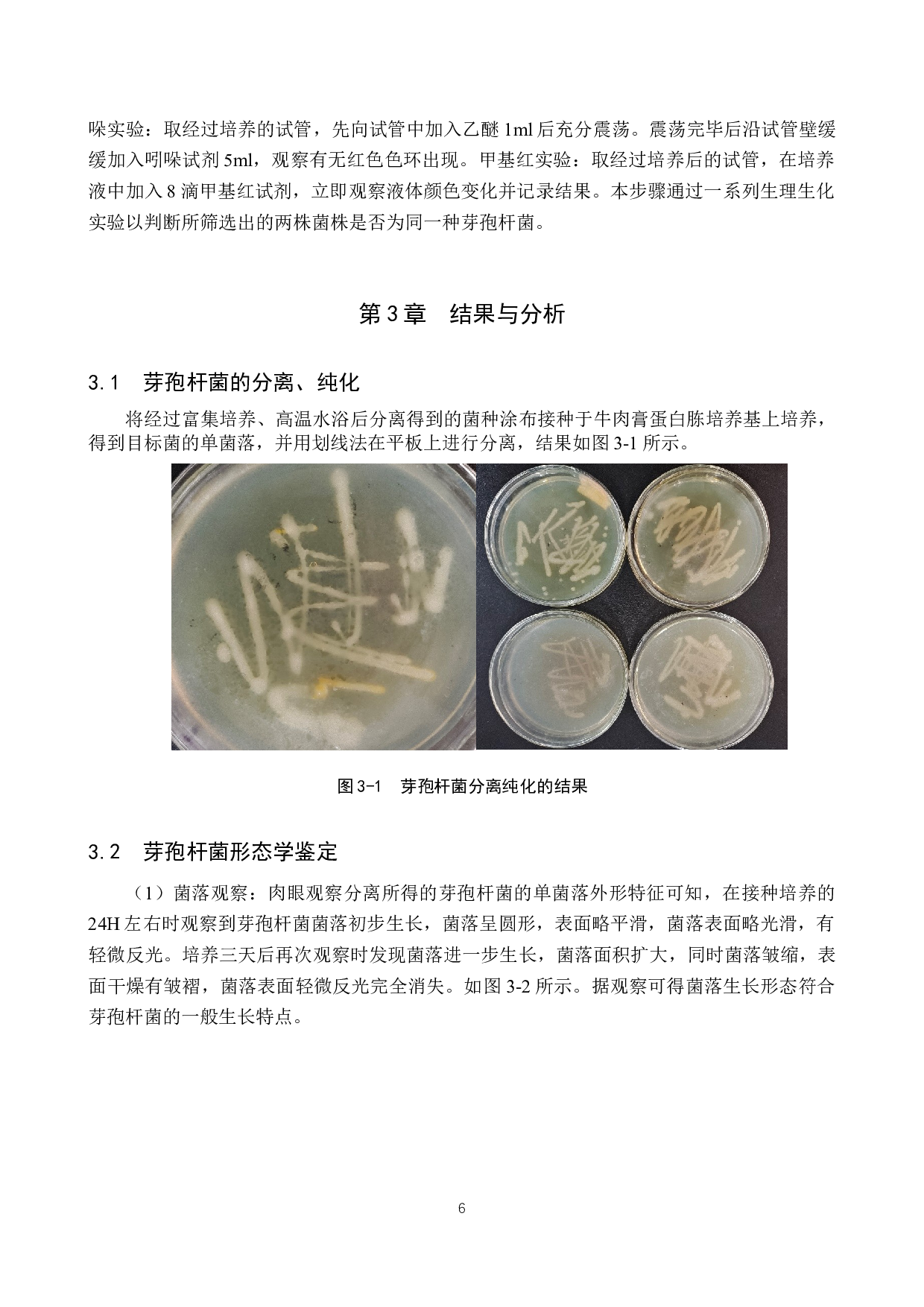 产淀粉酶芽孢杆菌的分离筛选-8533字.docx 第9页