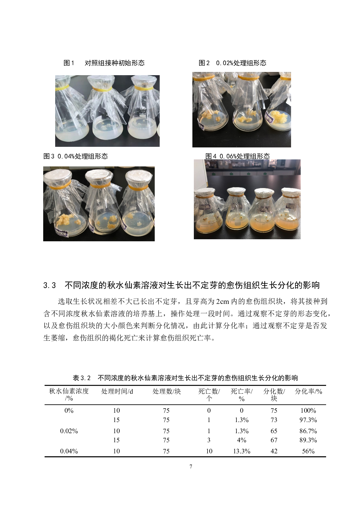 秋水仙素对葡萄风信子愈伤组织生长分化的影响-8357字.doc 第10页