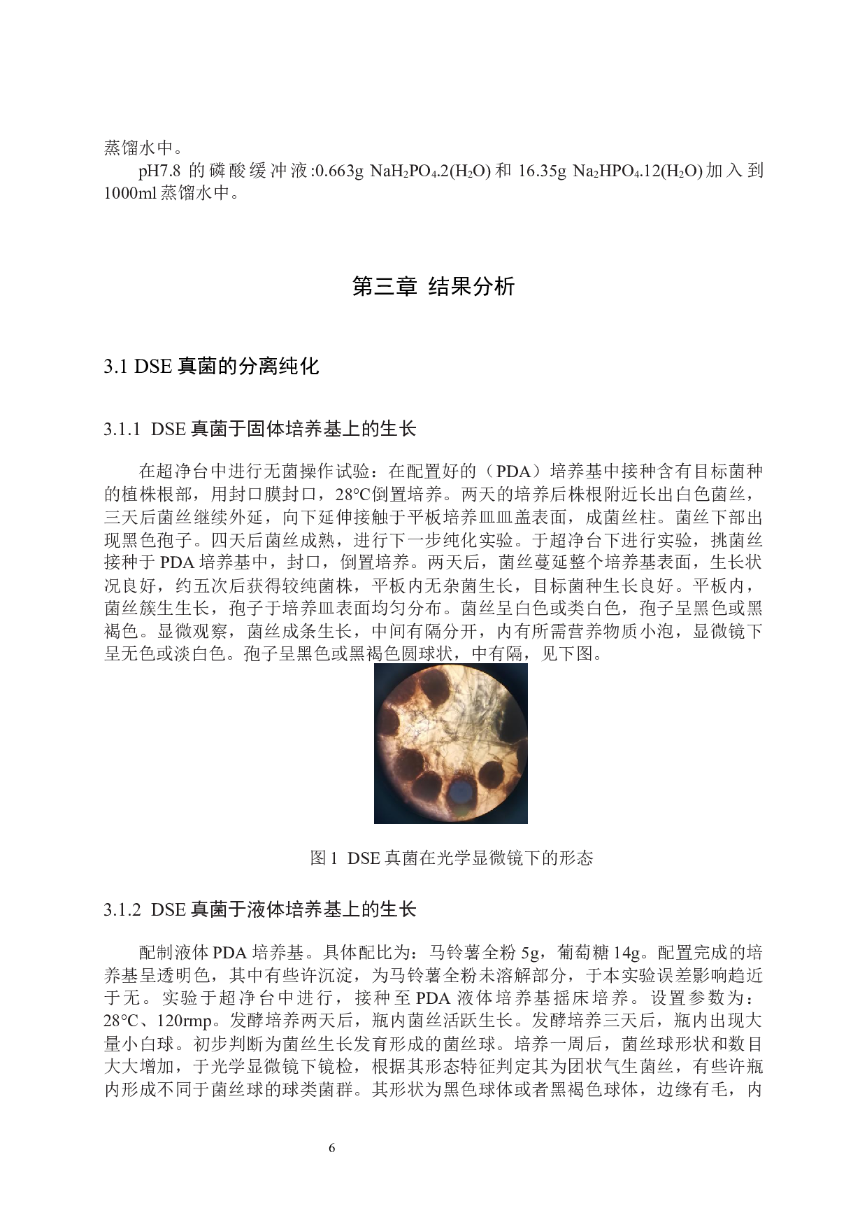 DSE真菌在提高马铃薯抗旱性方面的研究-9159字.docx 第9页