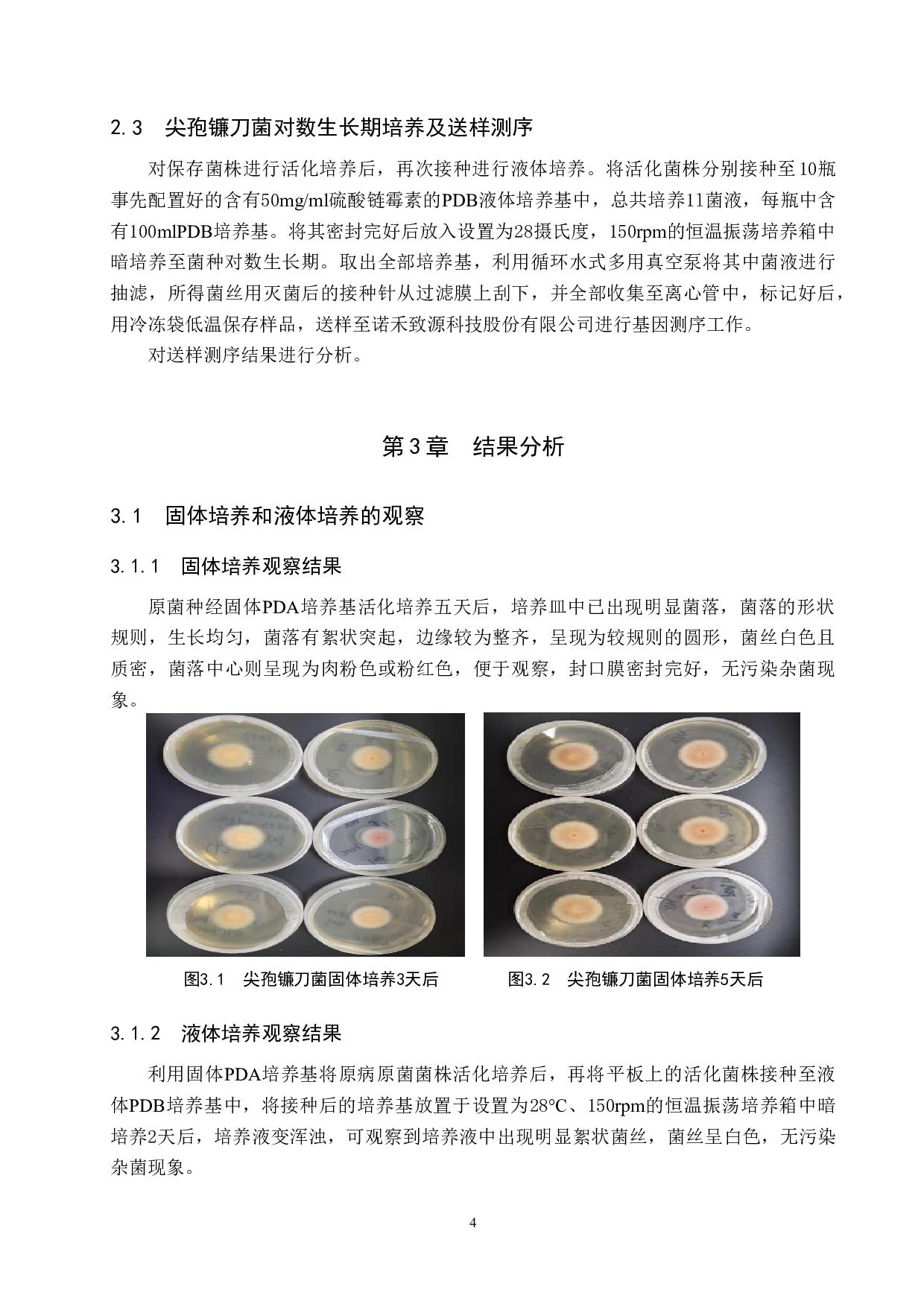 草莓尖孢镰刀菌液体培养及分泌蛋白初步预测-9066字.doc 第6页