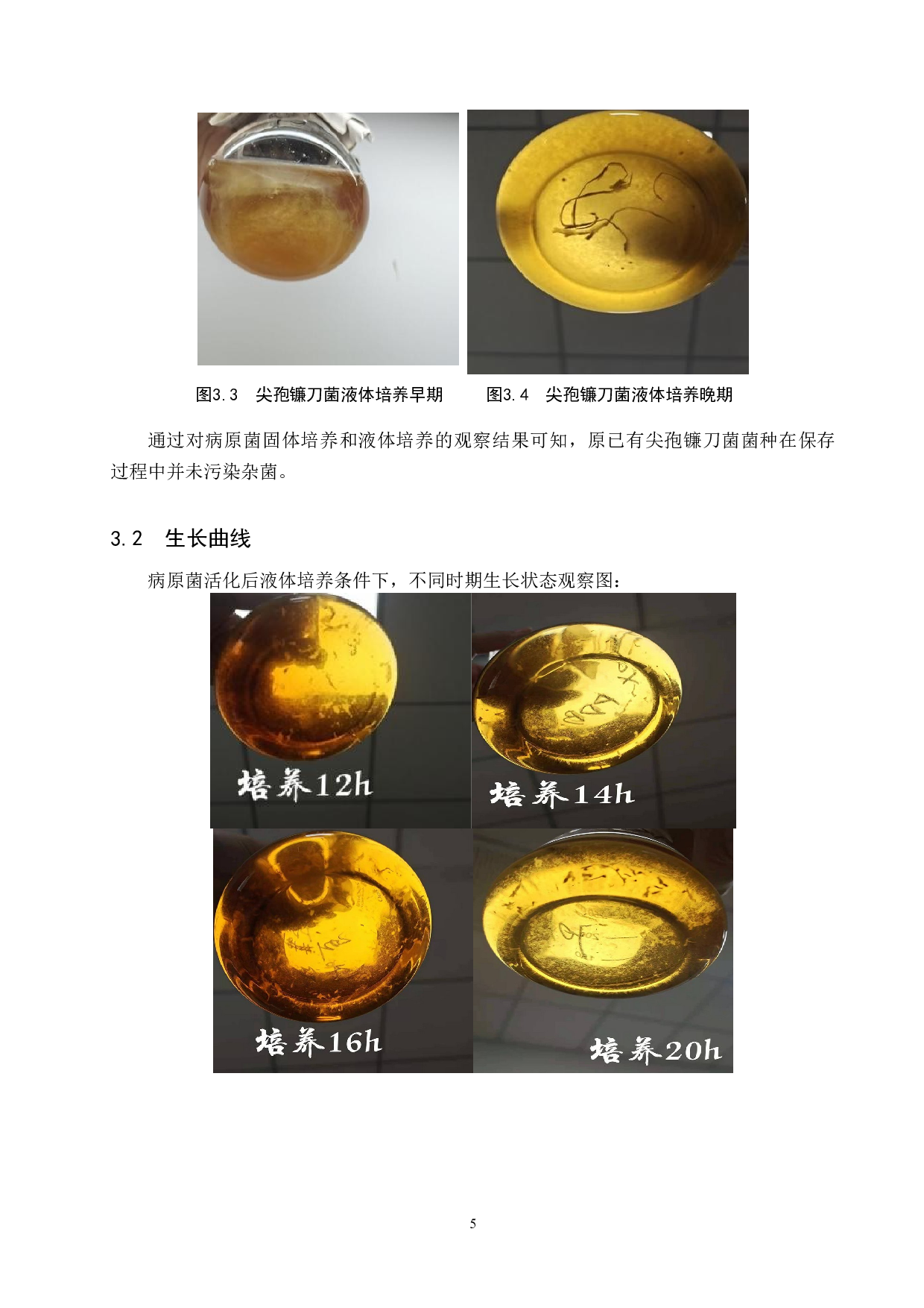 草莓尖孢镰刀菌液体培养及分泌蛋白初步预测-9066字.doc 第7页