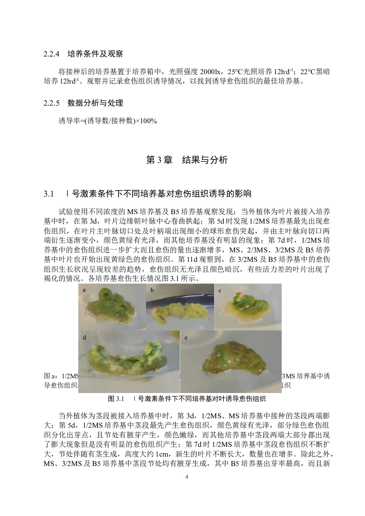 不同培养基对柳叶马鞭草愈伤组织诱导的影响-9920字.docx 第7页