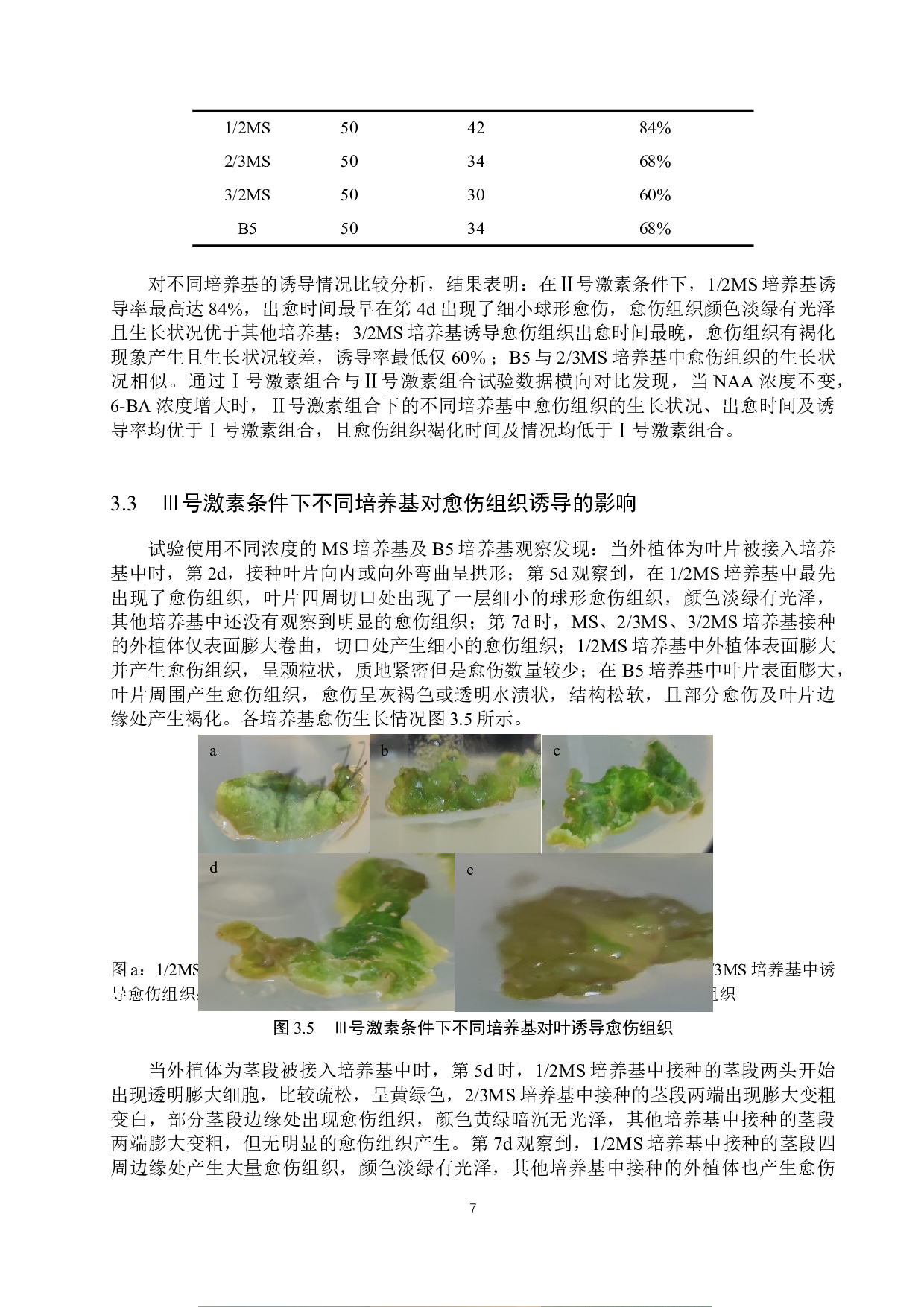 不同培养基对柳叶马鞭草愈伤组织诱导的影响-9920字.docx 第10页