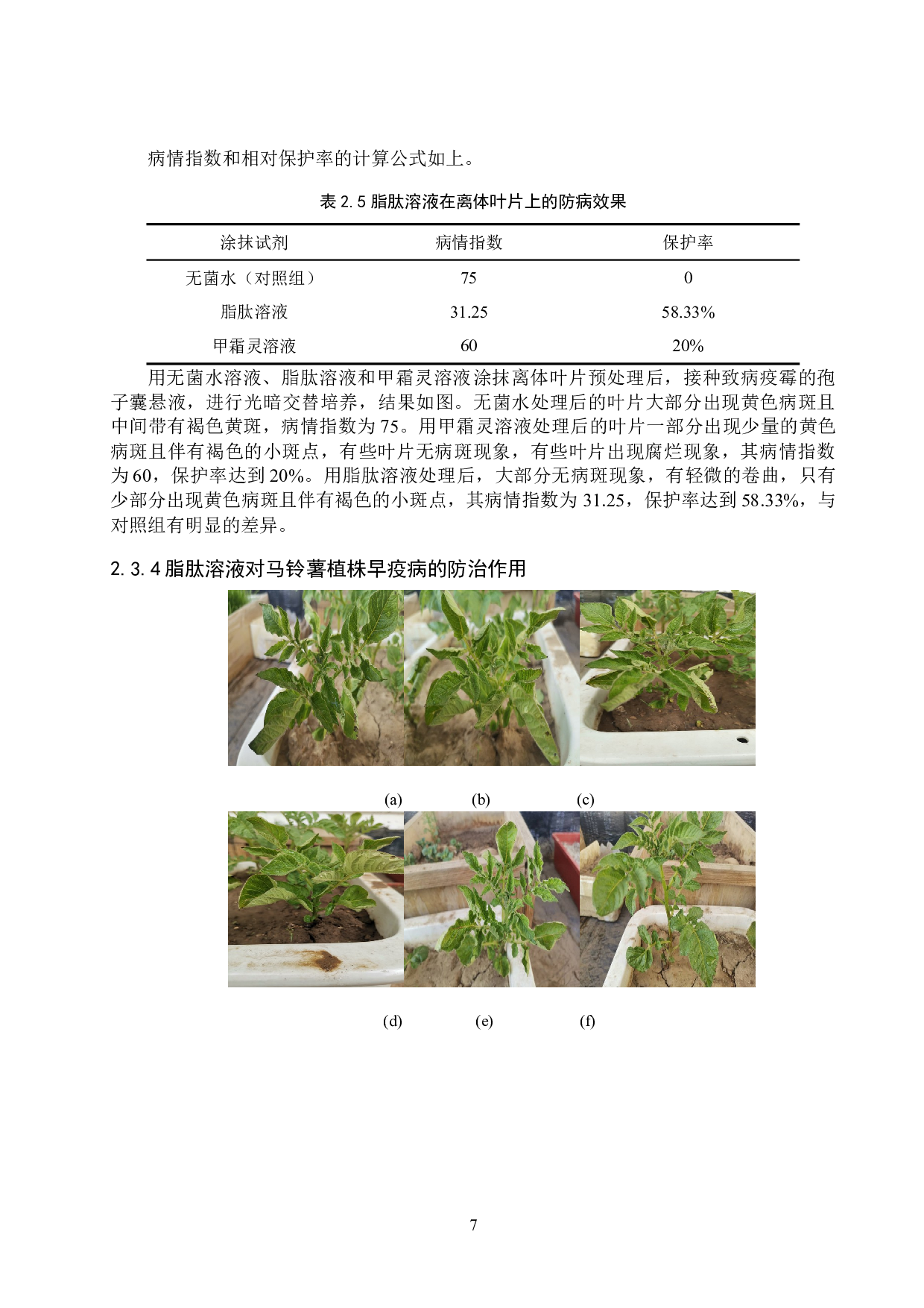 脂肽类物质对马铃薯晚疫病的防治效果研究-8424字.doc 第10页