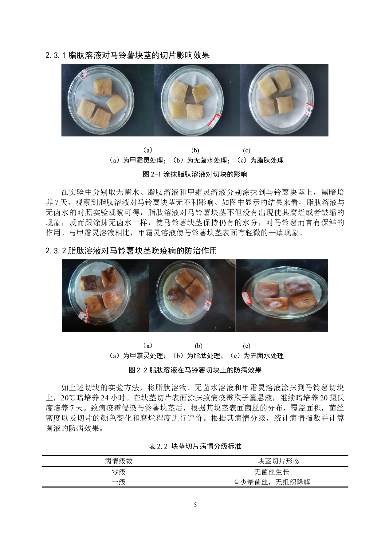 脂肽类物质对马铃薯晚疫病的防治效果研究-8424字.doc 第8页