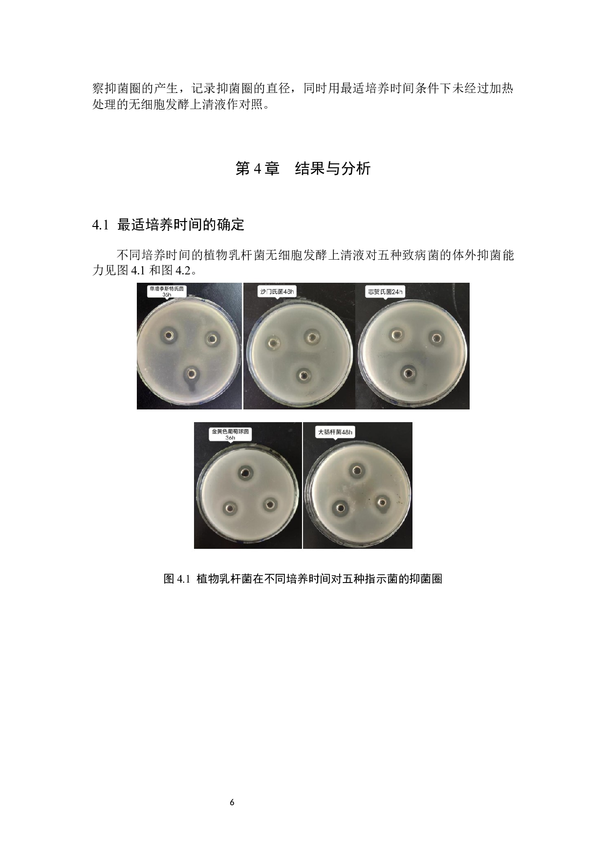 赛里木酸奶源植物乳杆菌体外抑菌效果研究-9173字.docx 第9页