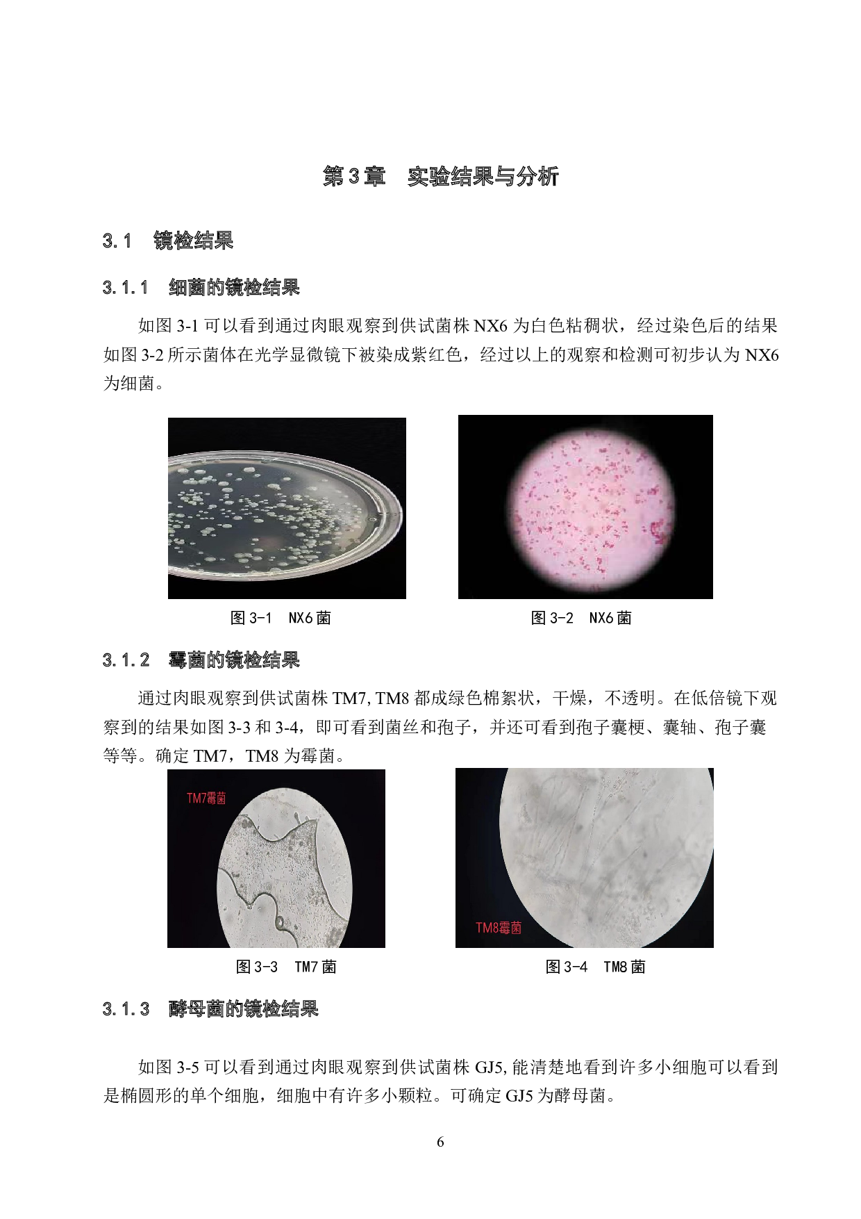 梧桐落叶降解复合微生物生长条件探究-8746字.doc 第9页