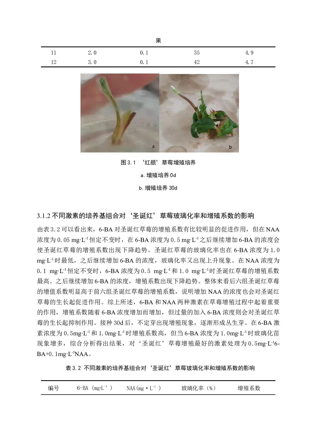 草莓组培苗增殖培养的研究-8500字.docx 第10页