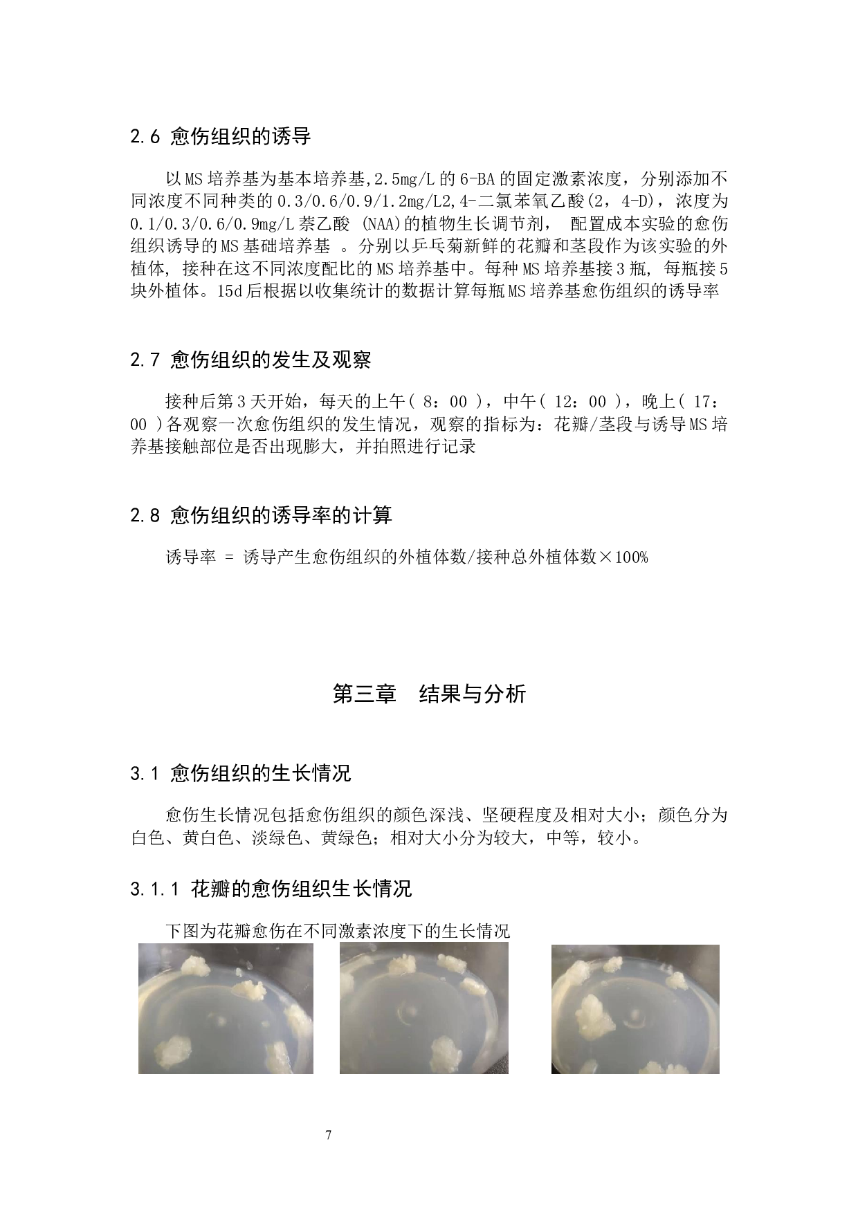 不同激素浓度对乒乓菊愈伤组织形成的影响研究-6481字.docx 第6页