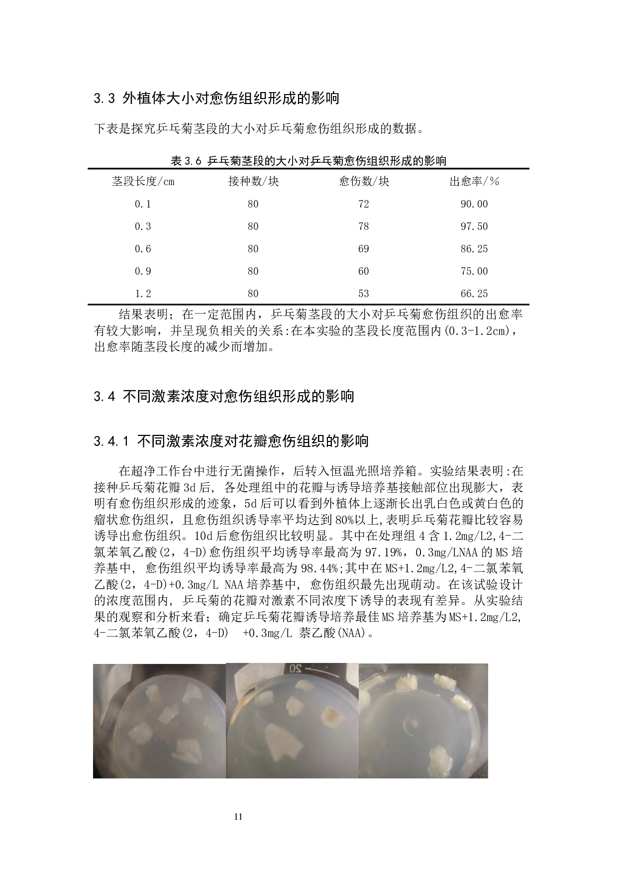 不同激素浓度对乒乓菊愈伤组织形成的影响研究-6481字.docx 第10页