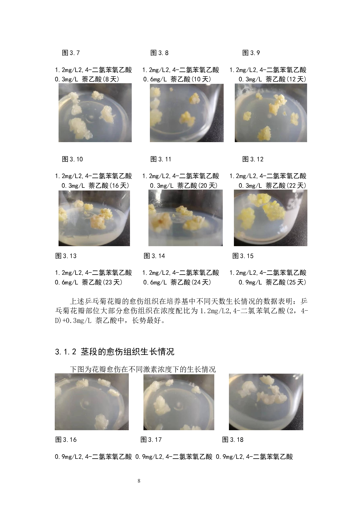 不同激素浓度对乒乓菊愈伤组织形成的影响研究-6481字.docx 第7页