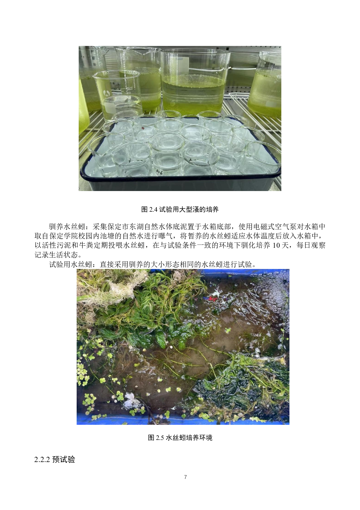 亚甲基蓝对大型溞和水丝蚓的毒性研究-8887字.docx 第10页