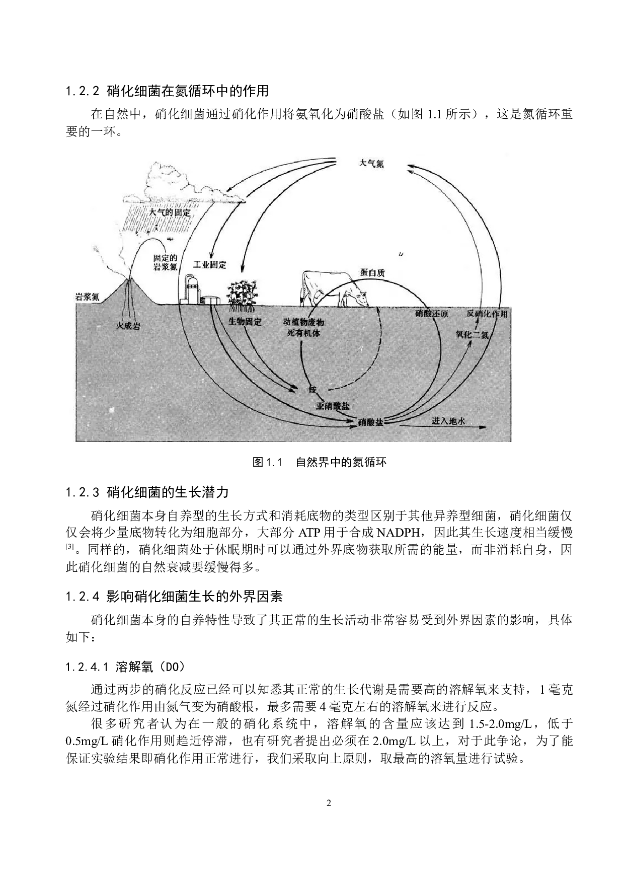 硝化细菌抑制富营养化水体中优势藻类生长方法的探究-11422字.docx 第6页