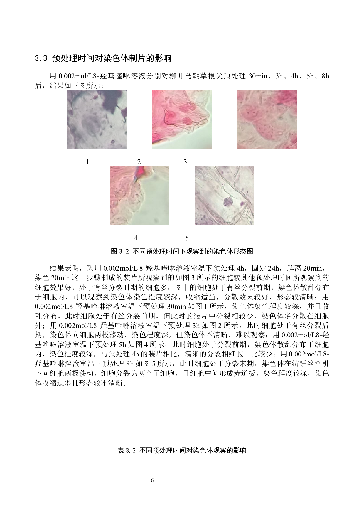 柳叶马鞭草染色体观察方法探究-8497字.docx 第9页