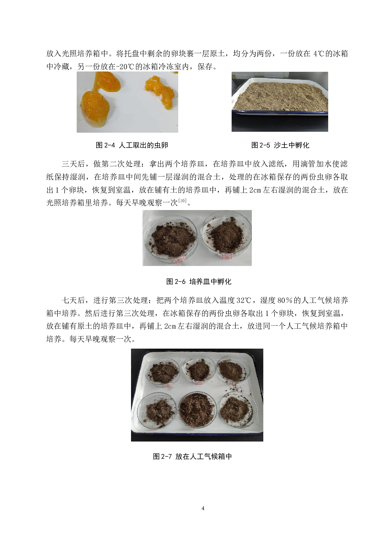 东亚飞蝗虫卵的保存及孵育研究-9291字.docx 第7页