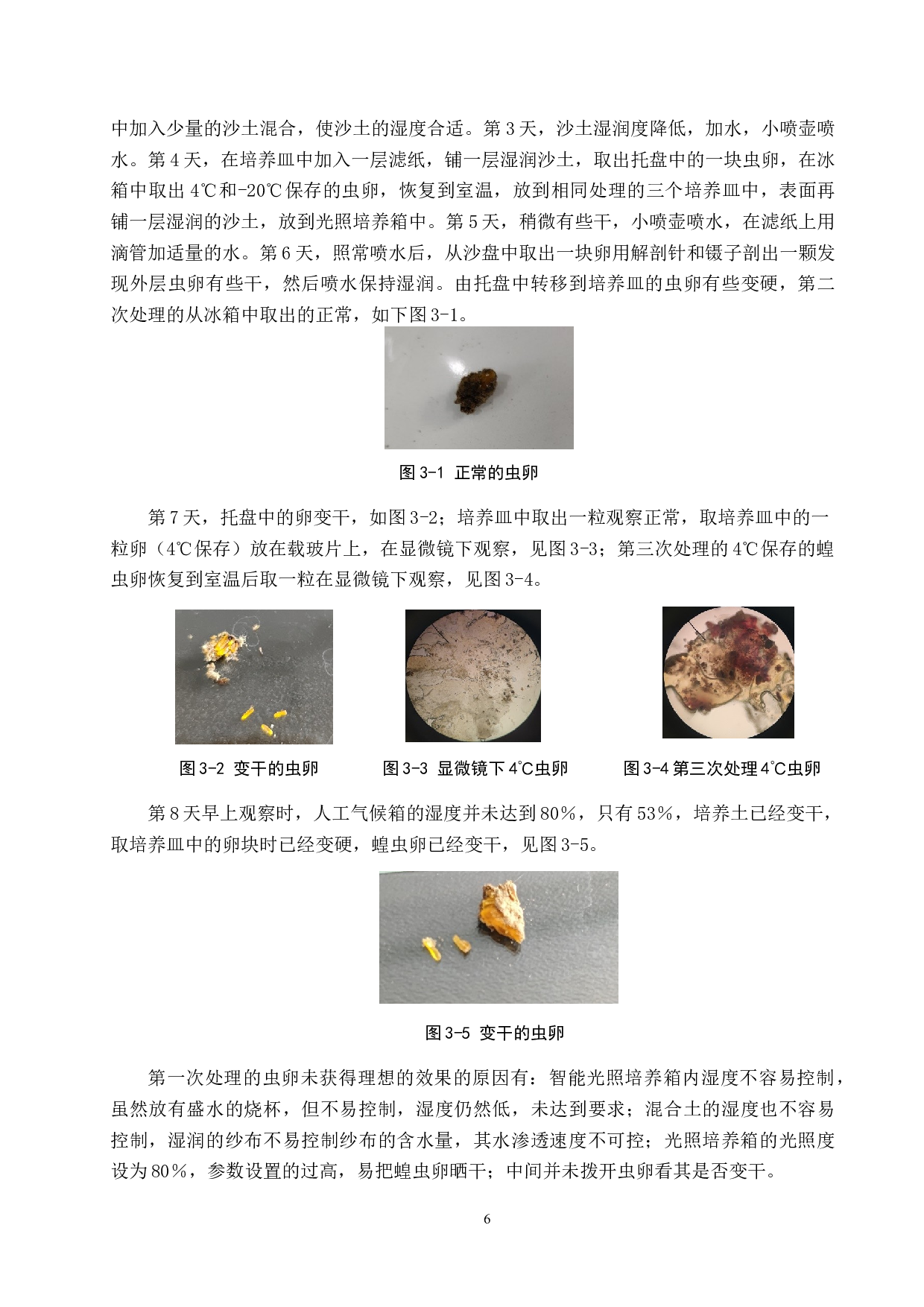 东亚飞蝗虫卵的保存及孵育研究-9291字.docx 第9页