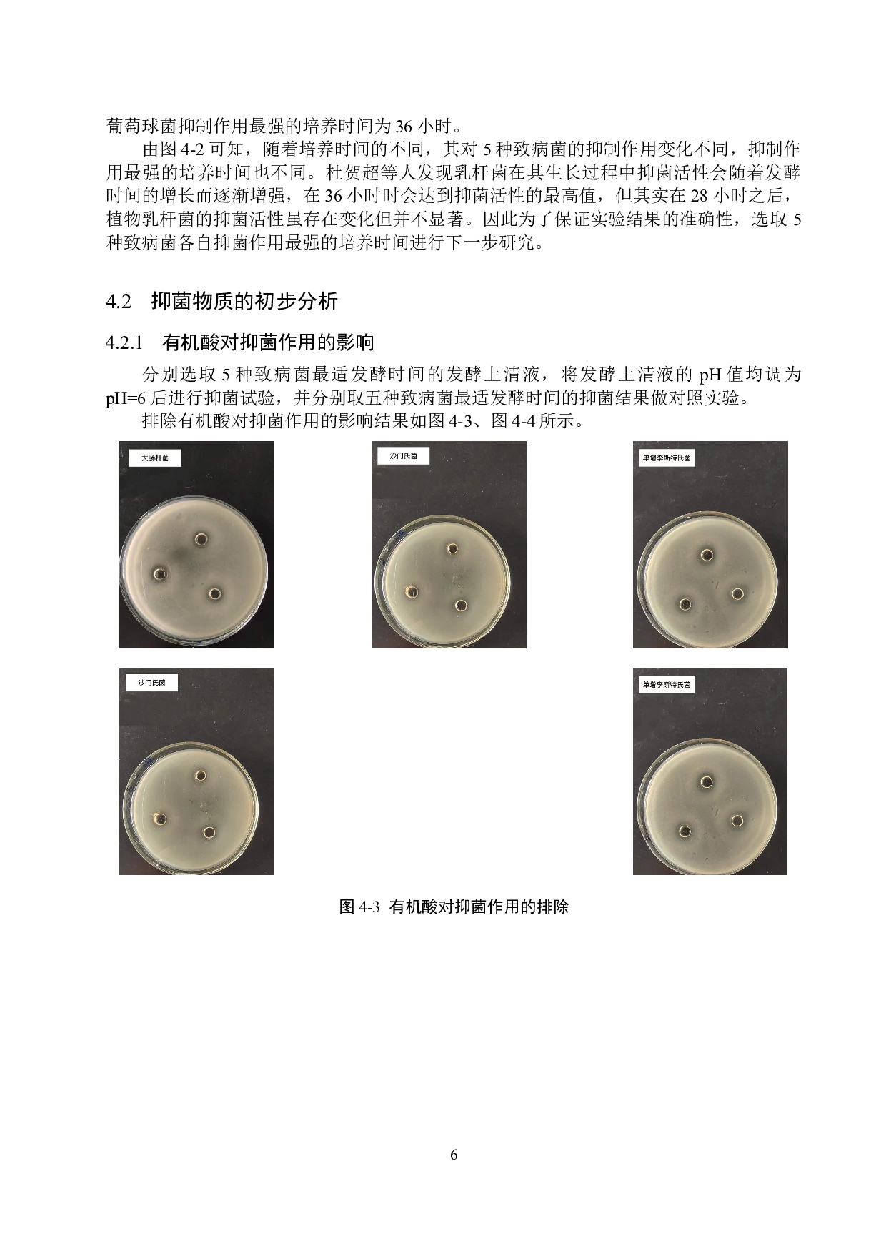 乳杆菌抑菌功能的初步分析-9617字.doc 第9页