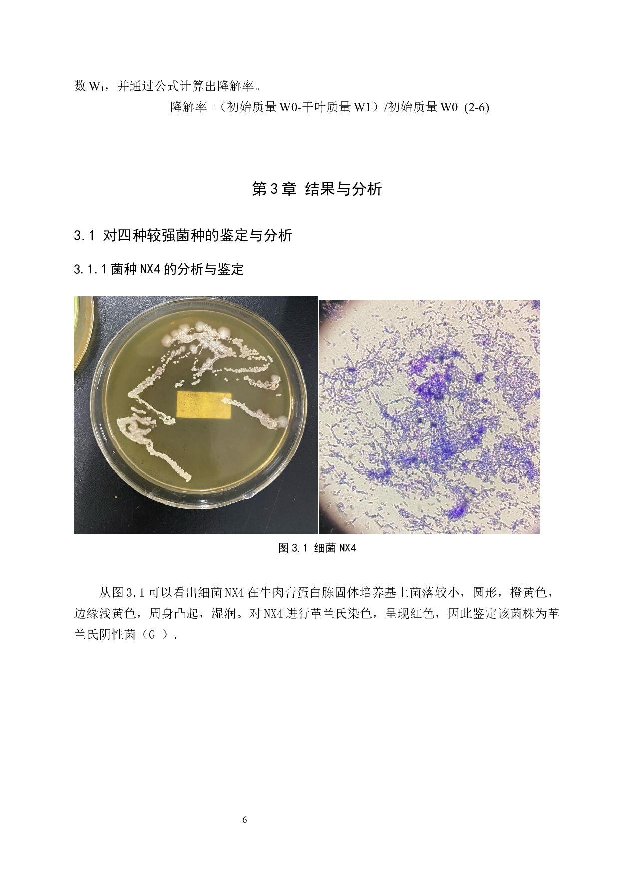 柳树落叶分解菌种初步鉴定及菌剂研制-7761字.docx 第9页