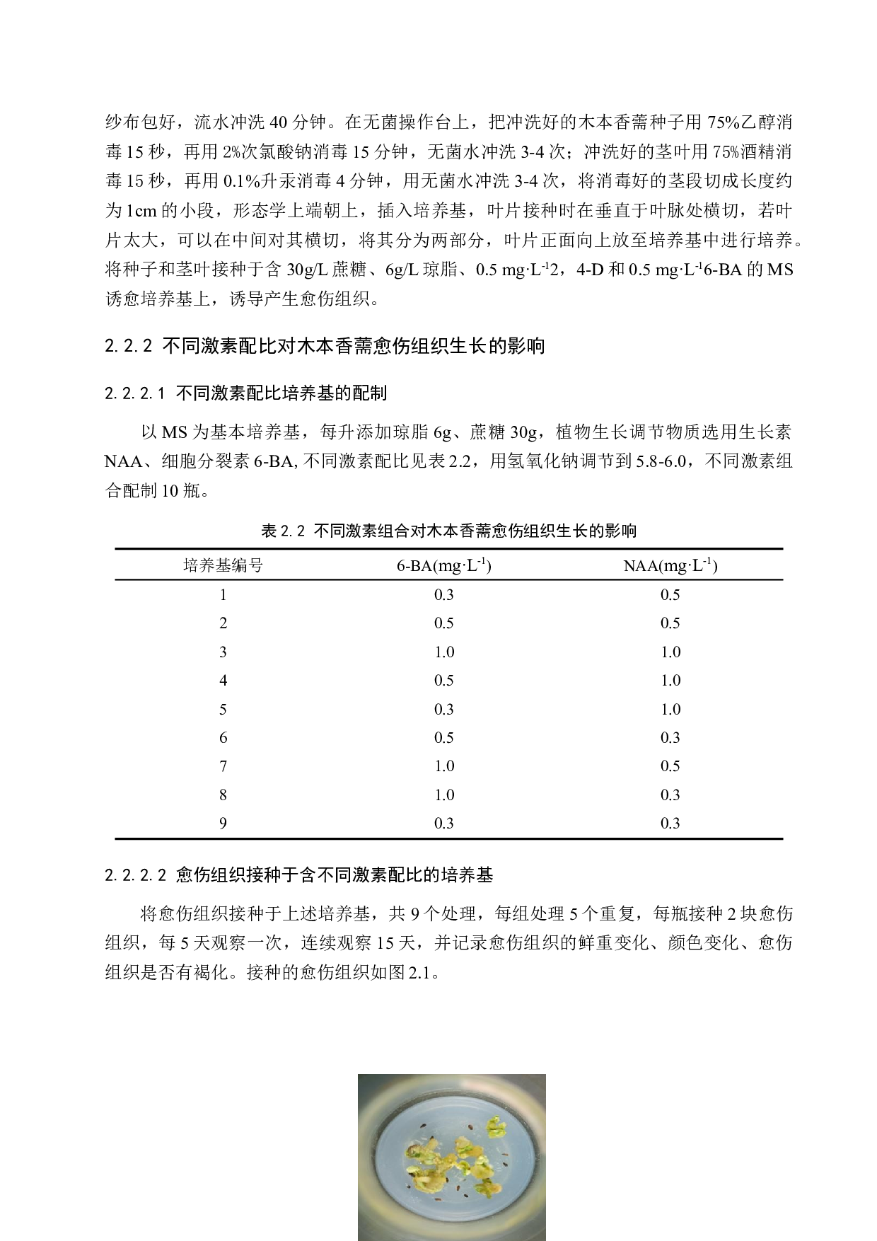 不同培养条件对木本香薷愈伤组织生长的影响-7958字.docx 第6页