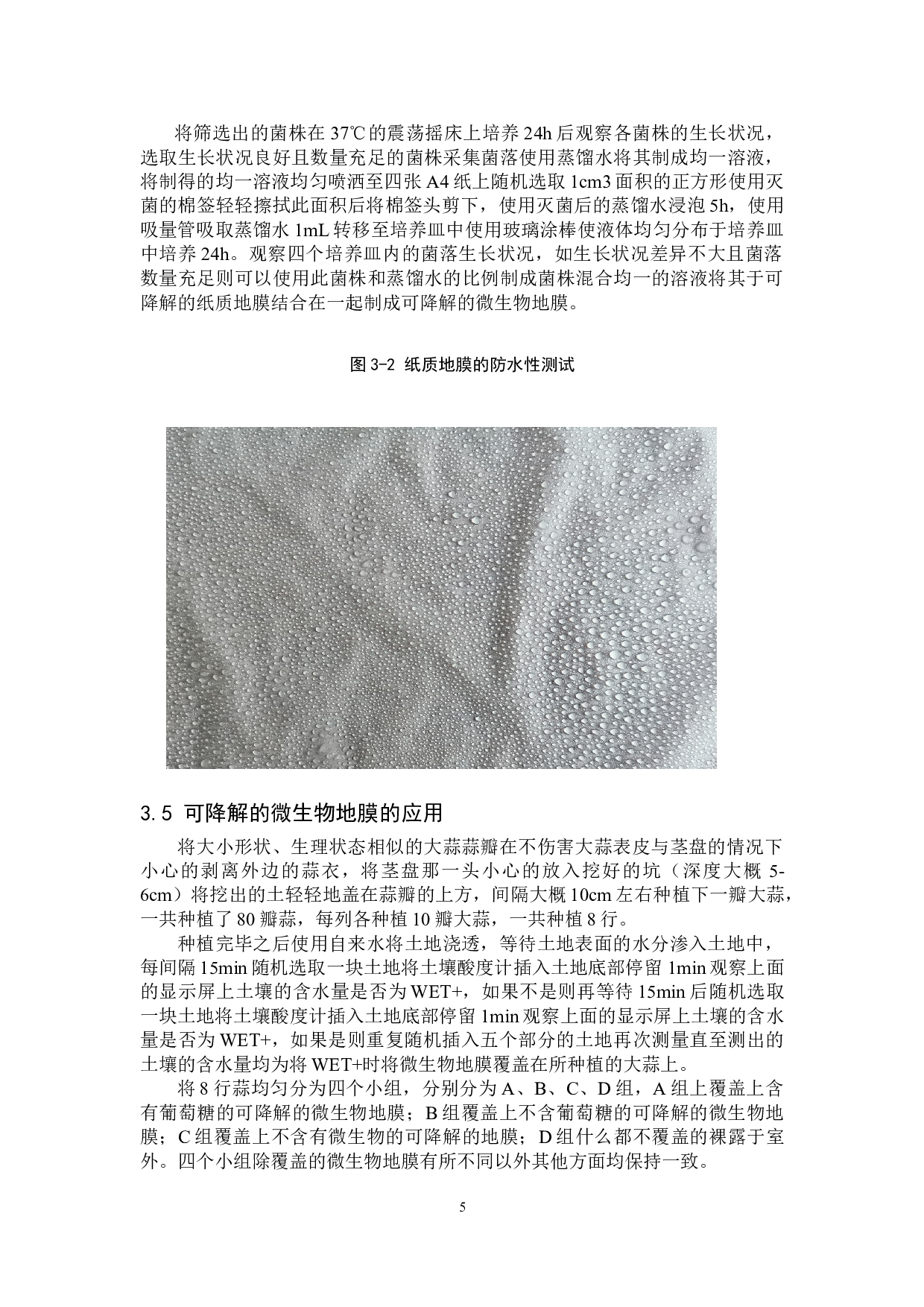 微生物地膜对大蒜生长的影响-9083字.doc 第8页