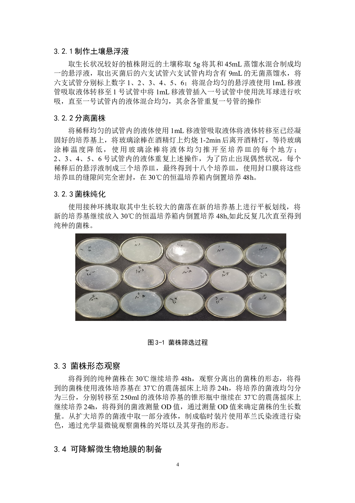 微生物地膜对大蒜生长的影响-9083字.doc 第7页