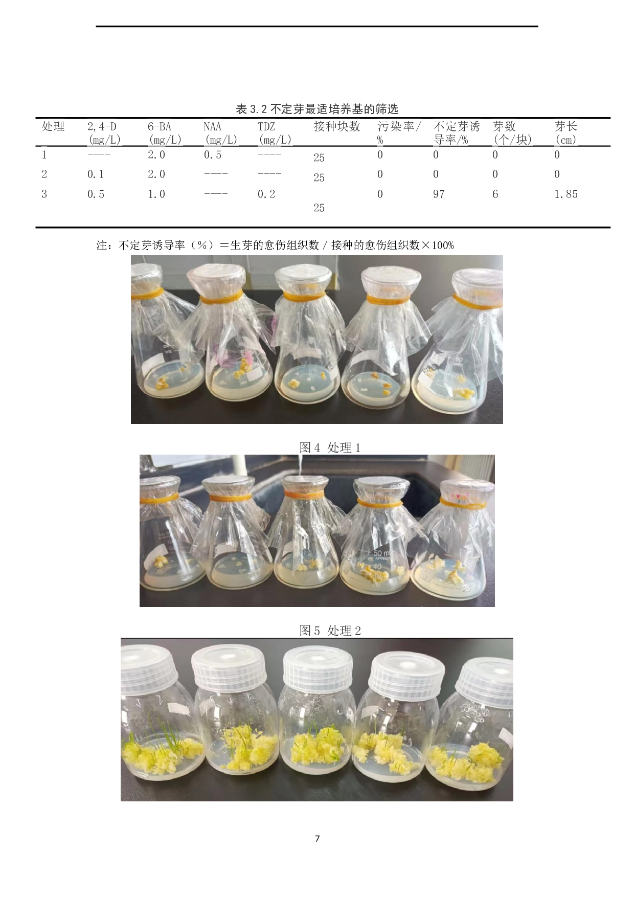 葡萄风信子愈伤组织的诱导与分化-8780字.docx 第10页