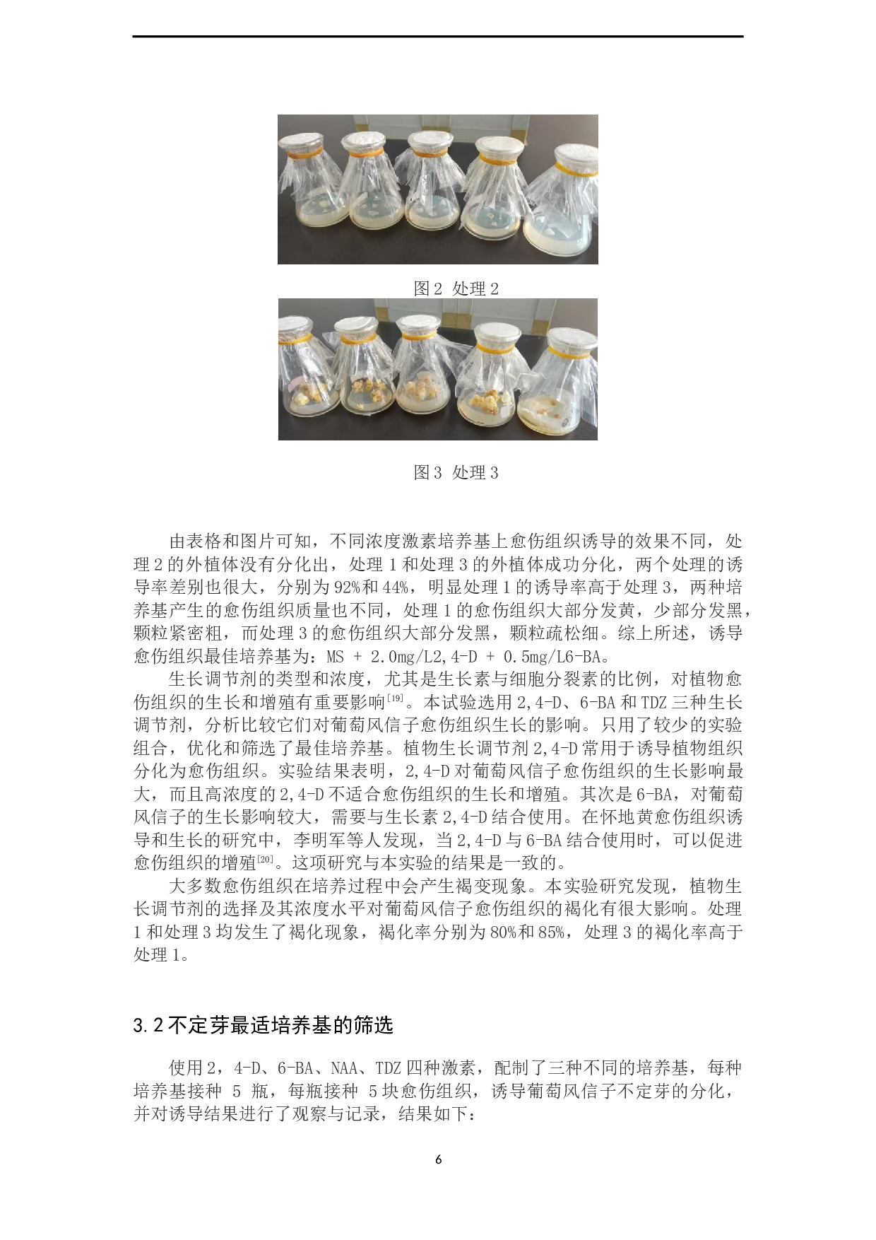 葡萄风信子愈伤组织的诱导与分化-8780字.docx 第9页