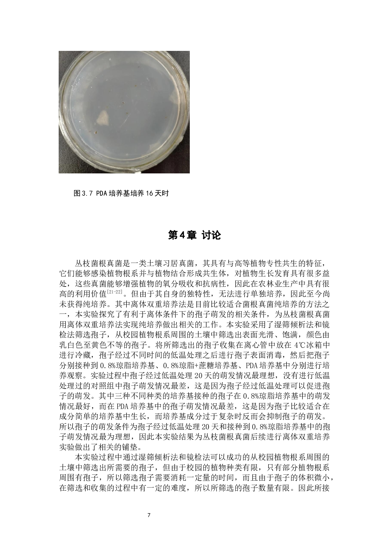 菌根真菌分离及纯培养条件探究-8064字.docx 第10页