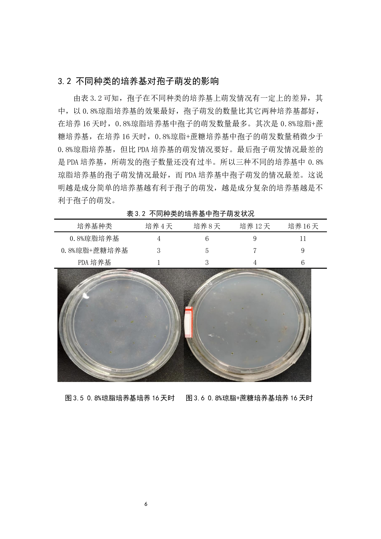 菌根真菌分离及纯培养条件探究-8064字.docx 第9页