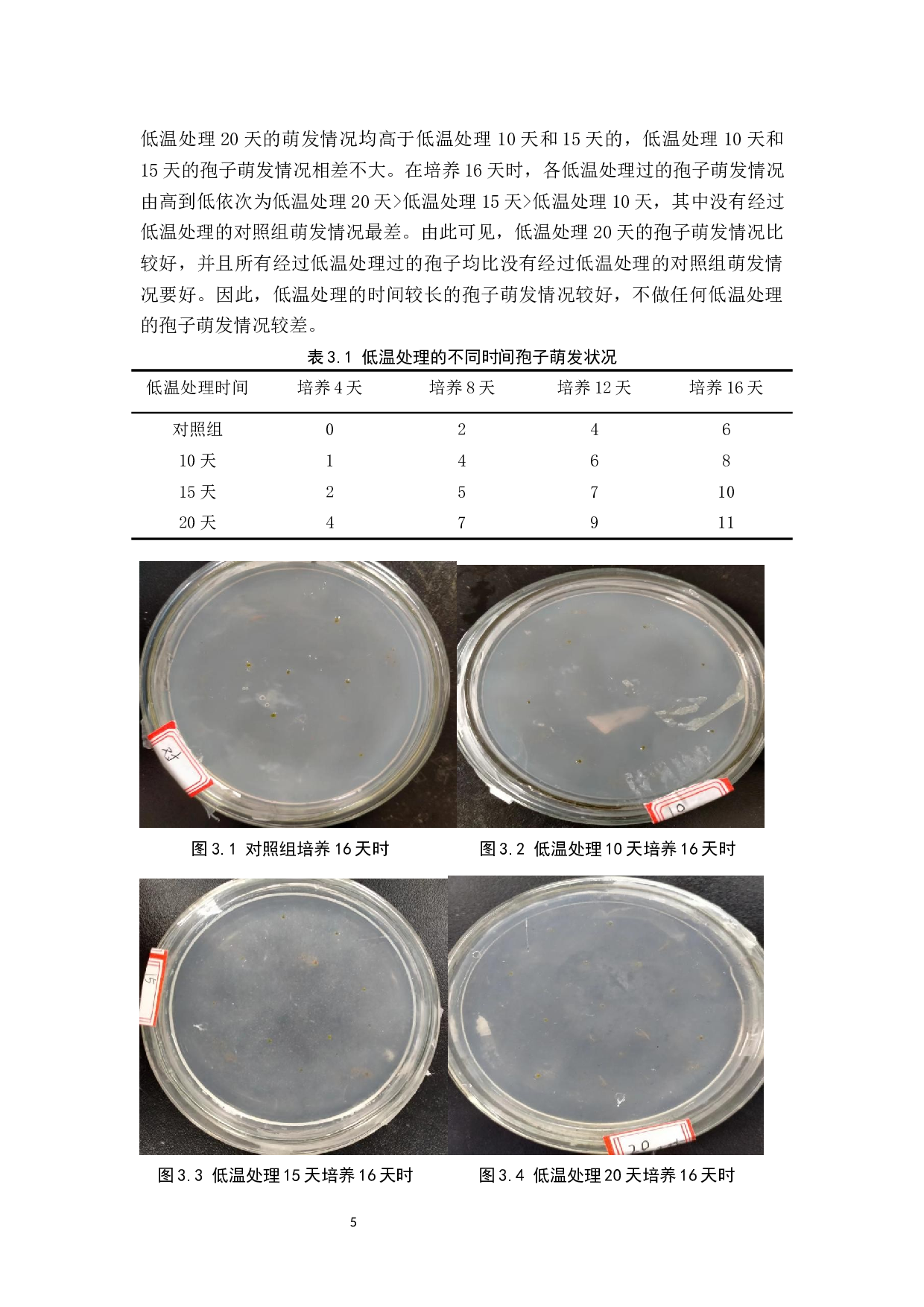 菌根真菌分离及纯培养条件探究-8064字.docx 第8页