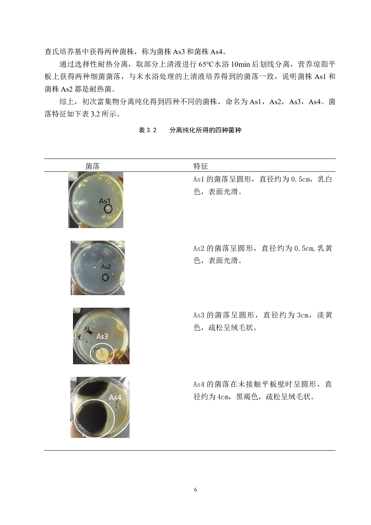 餐厨废油降解菌群可培养微生物组成分析-7990字.docx 第10页