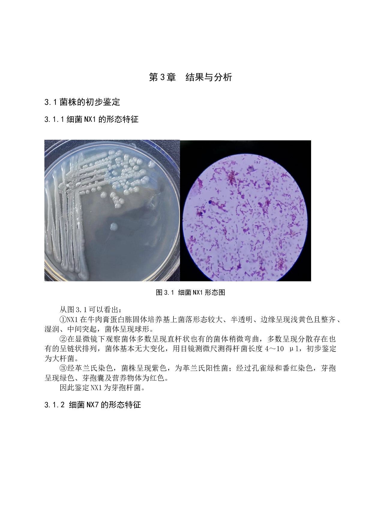 优化降解银杏落叶微生物的配置及初步鉴定-8043字.doc 第10页