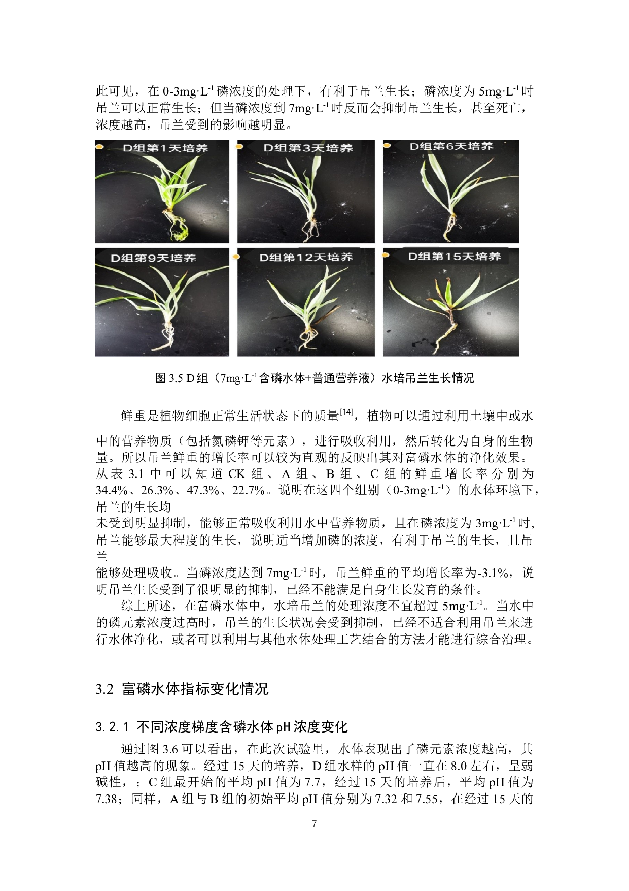 水培吊兰对富磷水体的净化效果-8450字.docx 第10页