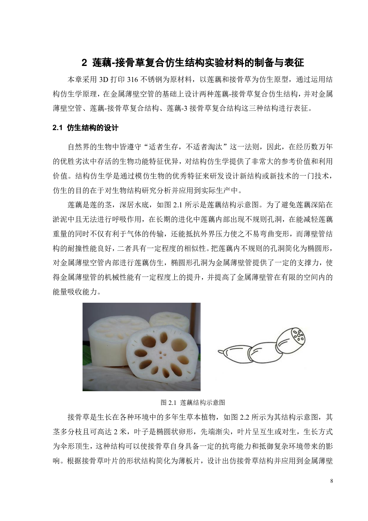 莲藕-接骨草复合仿生结构侧向力学行为与吸能特性-17709字.pdf 第8页