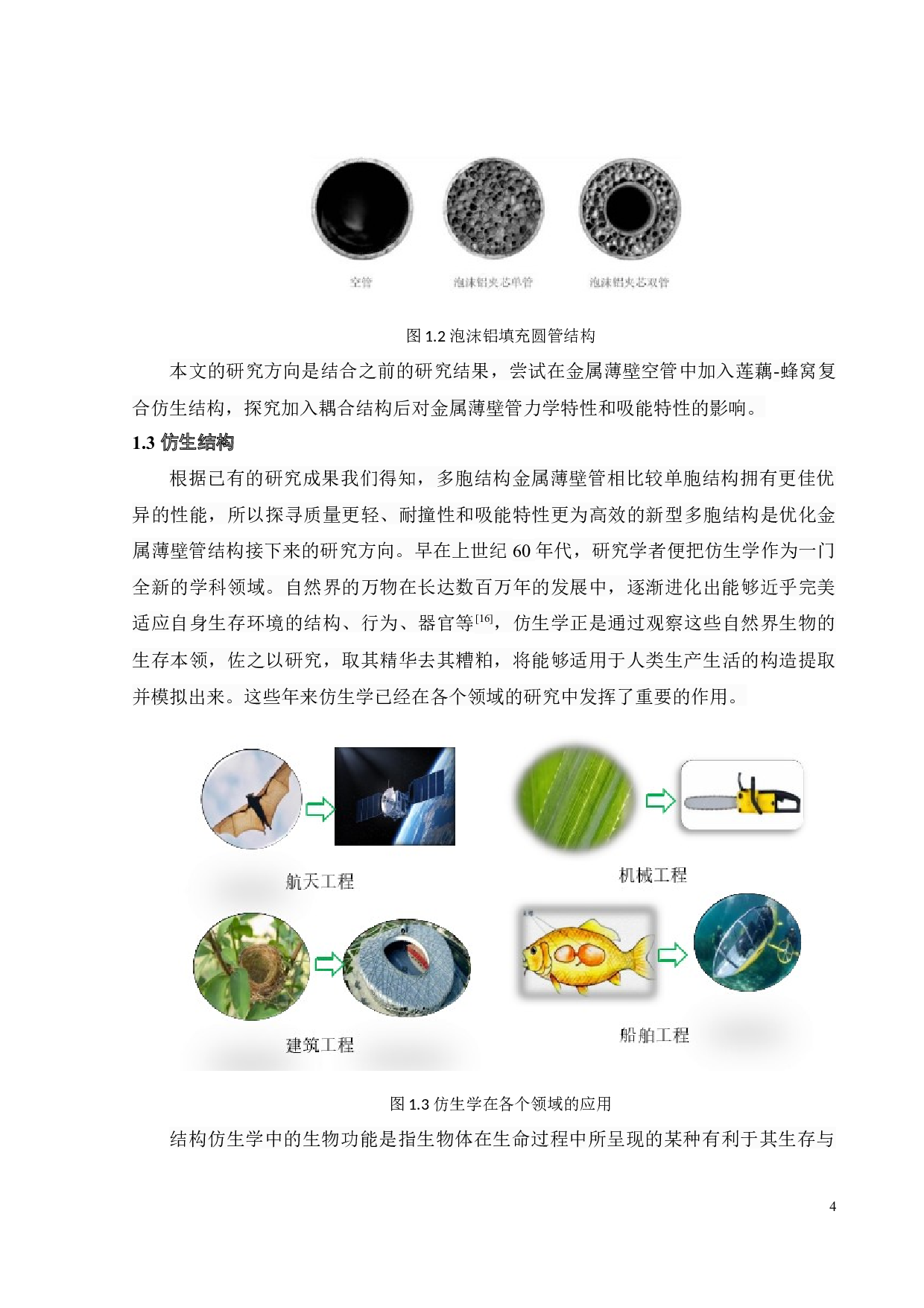 莲藕-蜂窝复合仿生结构侧向力学行为与吸能特性-18602字.docx 第6页