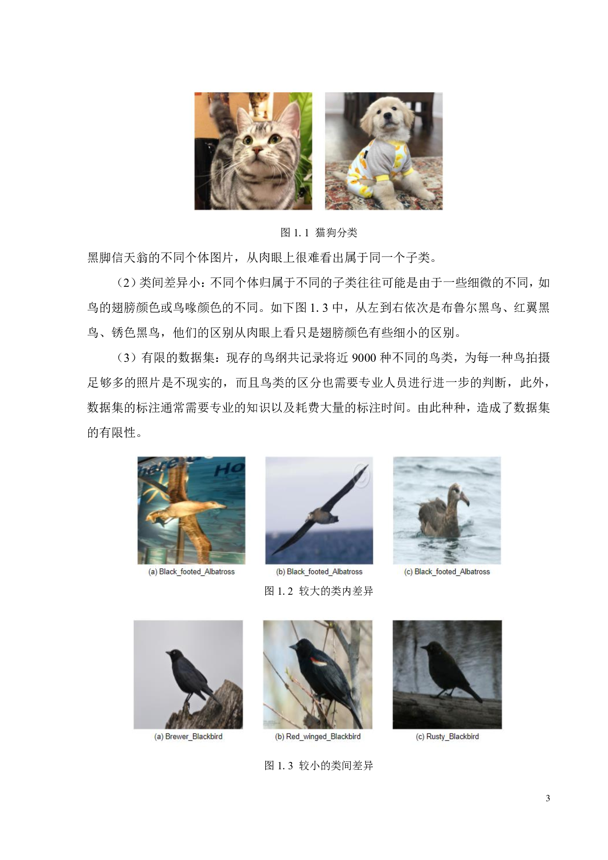 基于卷积神经网络的鸟类图像细粒度识别-14502字.pdf 第8页