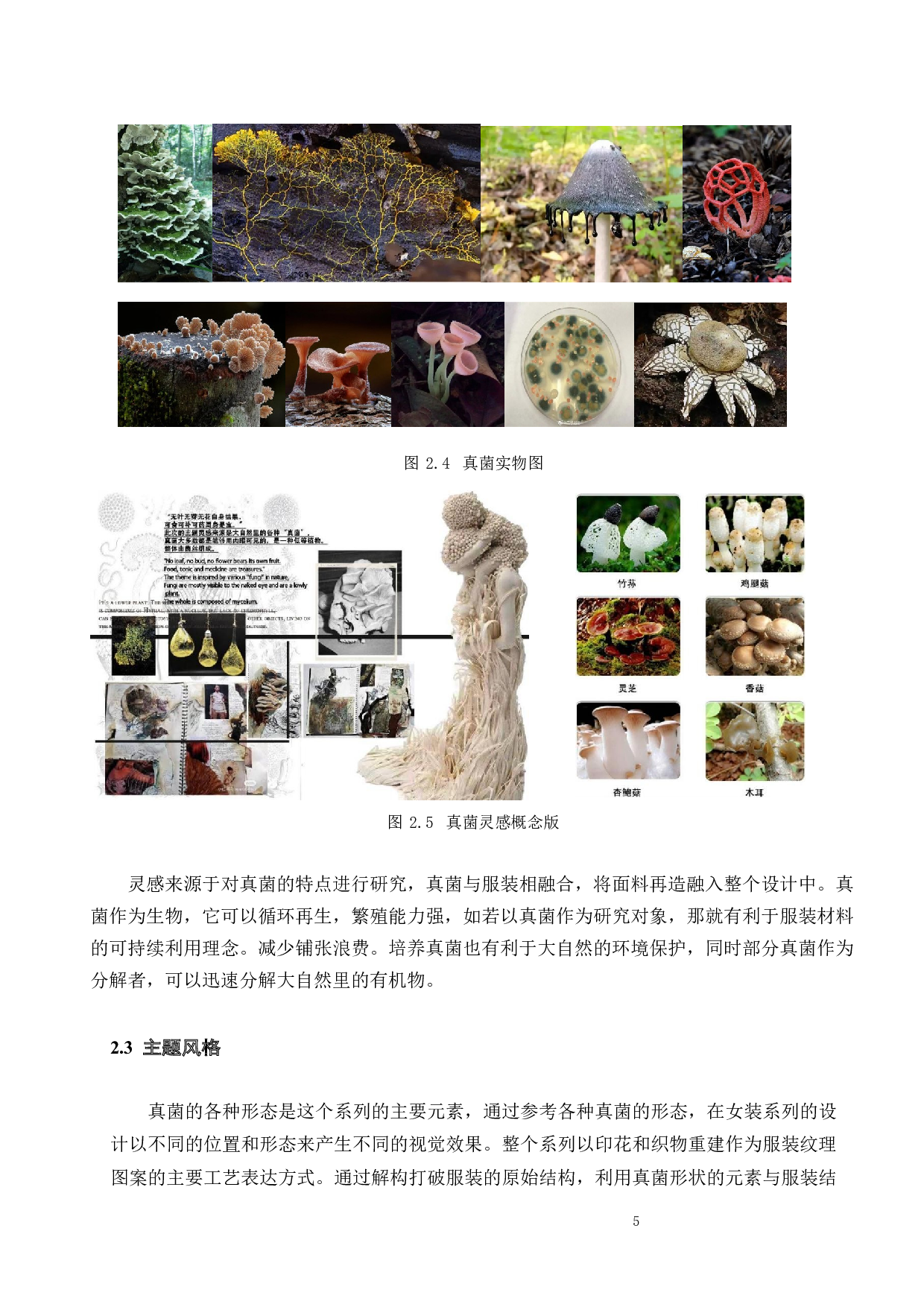 真菌与面料结合在服装创意设计中的研究实践-11081字.docx 第6页