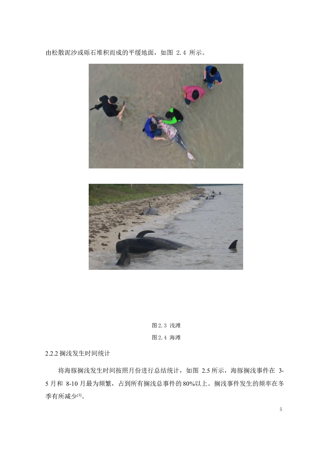 搁浅海豚救援装置设计-9273字.docx 第8页