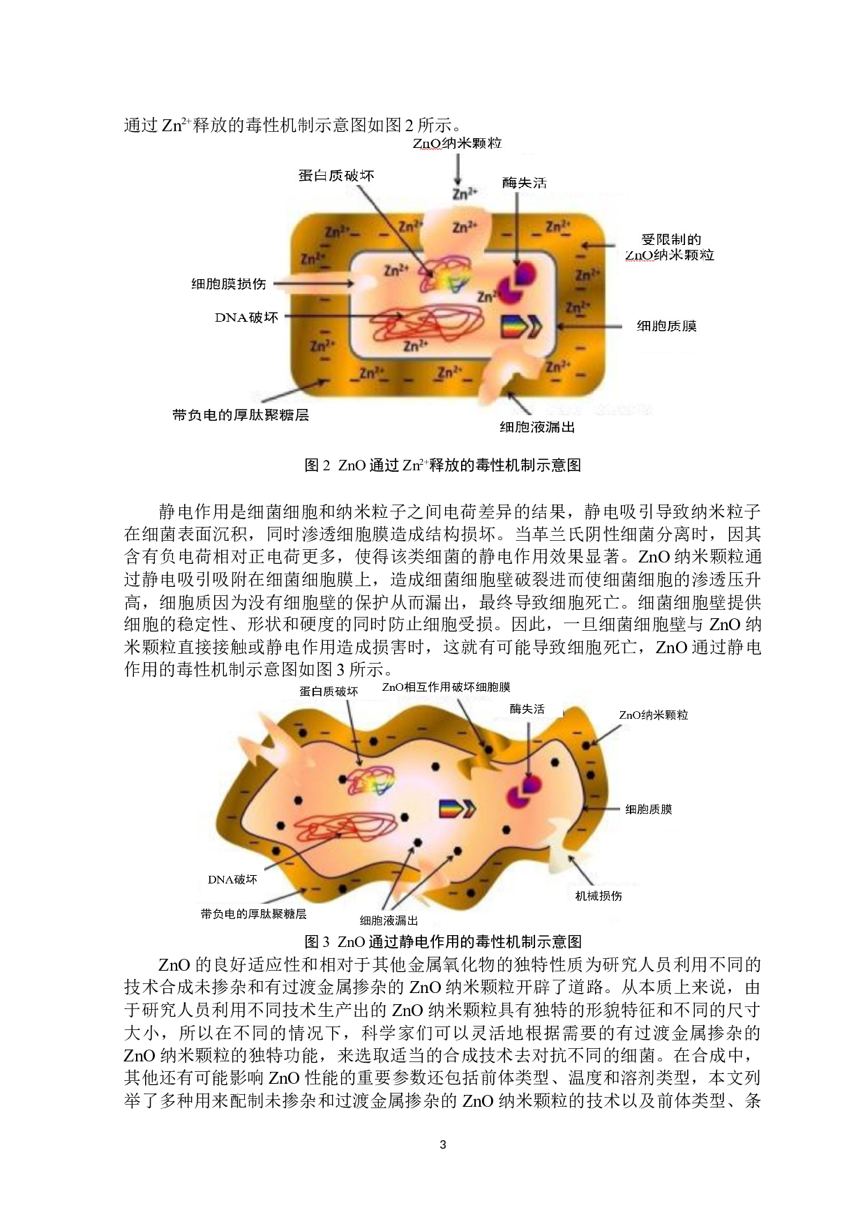 过渡金属掺杂对ZnO抗菌活性影响研究-5812字.docx 第4页