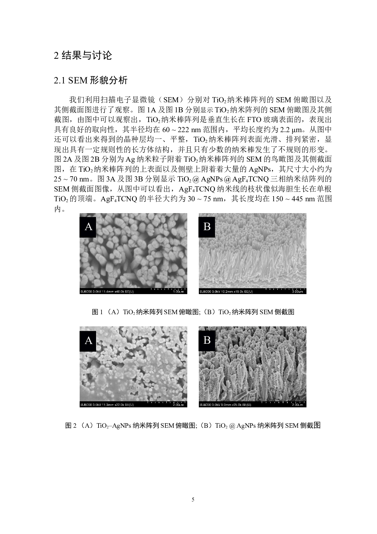 TiO2@AgNPs@AgF4TCNQ三相纳米结的制备及其表征-4793字.docx 第6页