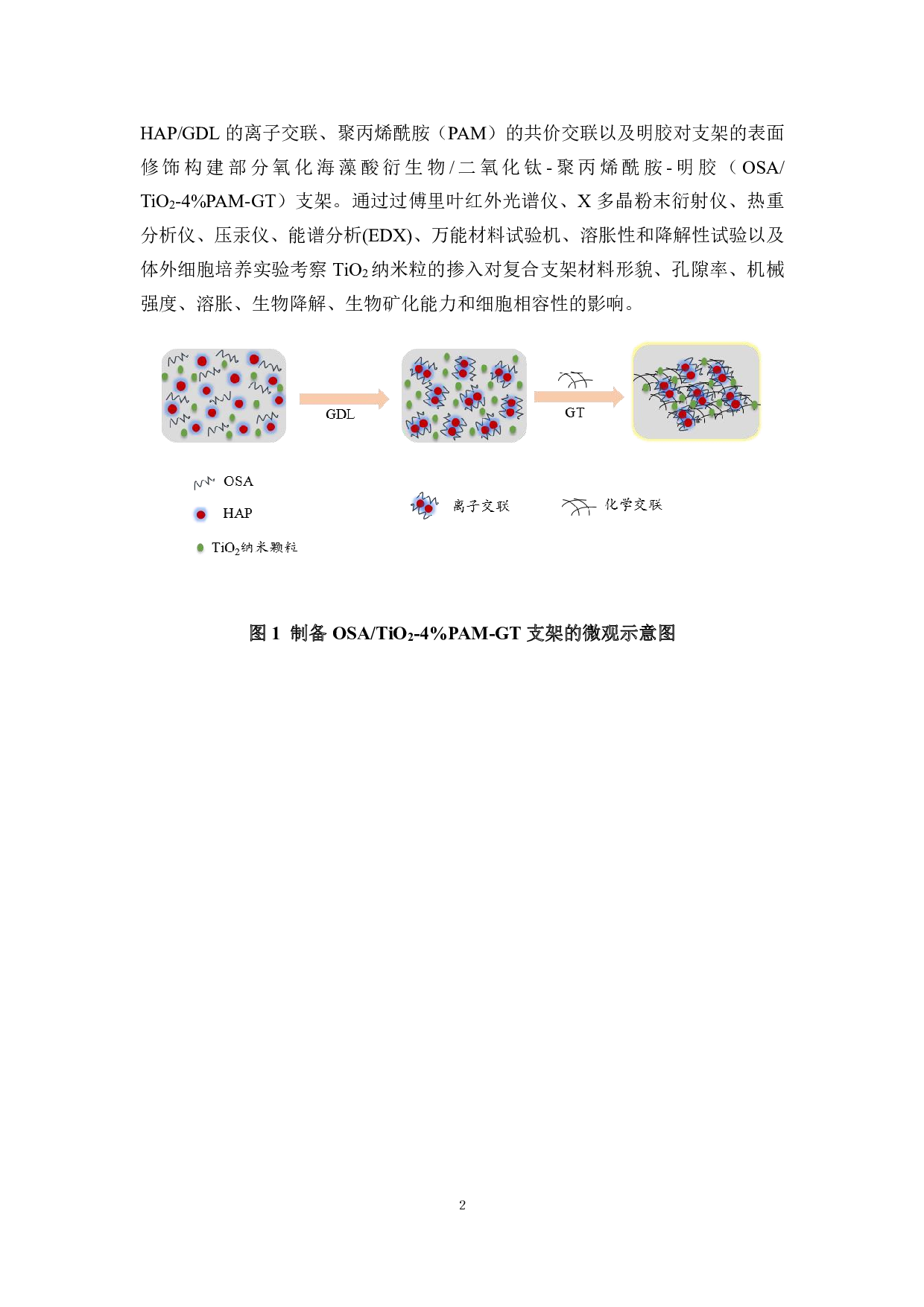 基于物理共混和表面覆积法构建氧化海藻酸钠-二氧化钛-聚丙烯酰胺-明胶复合支架-8683字.pdf 第5页